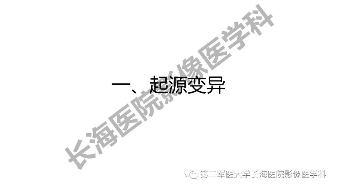 影像PPT - 【PPT】脑供血动脉常见变异-6