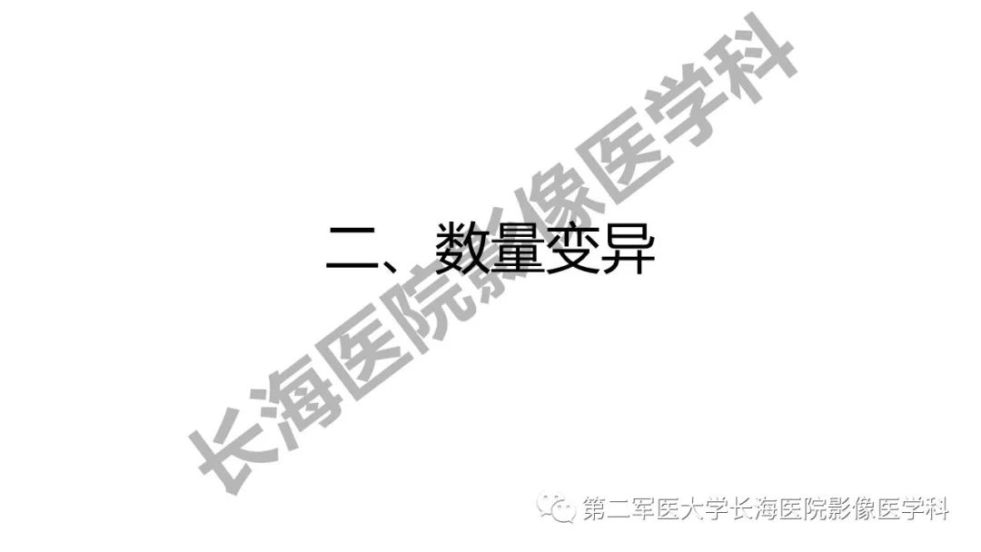 影像PPT - 【PPT】脑供血动脉常见变异-15