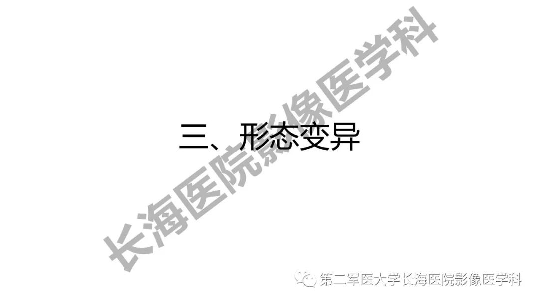 影像PPT - 【PPT】脑供血动脉常见变异-25