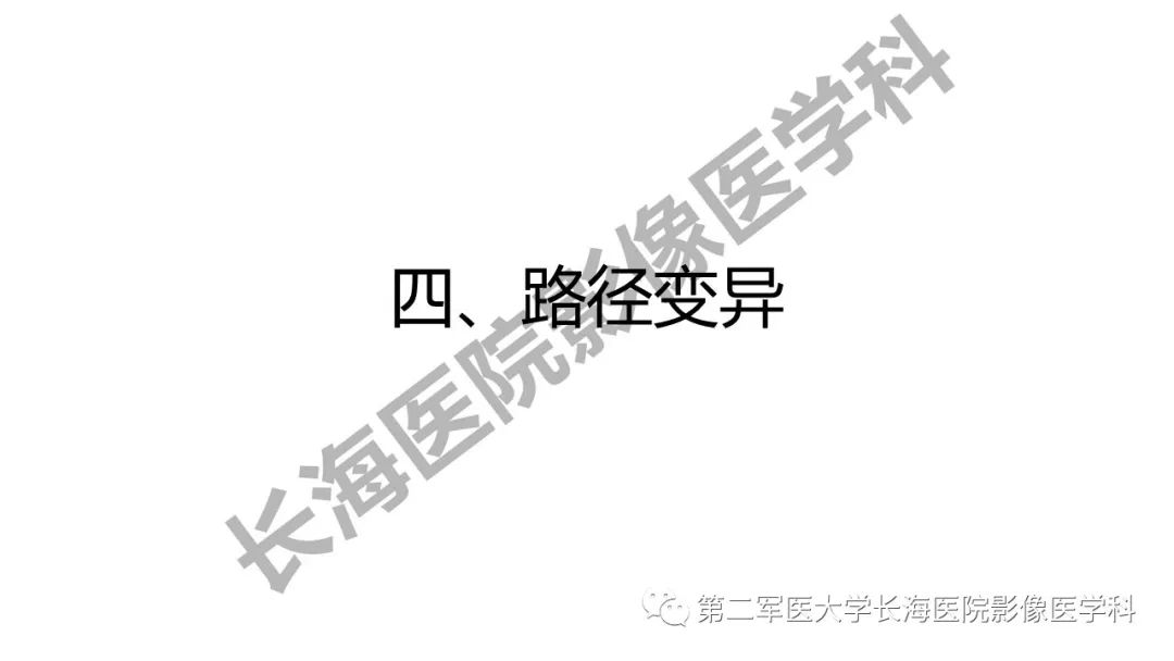 影像PPT - 【PPT】脑供血动脉常见变异-33