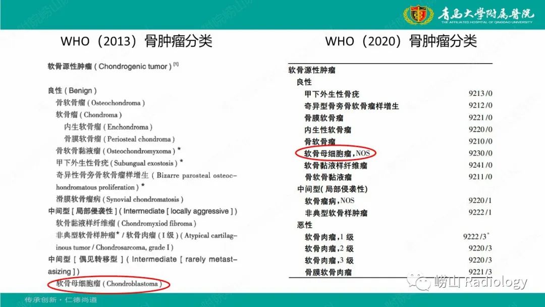 影像PPT - 【病例】肱骨干骺端软骨母细胞瘤1例CT及MR-18