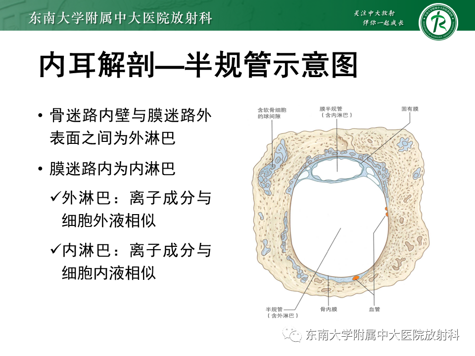 影像PPT - 【PPT】先天性耳发育畸形-14