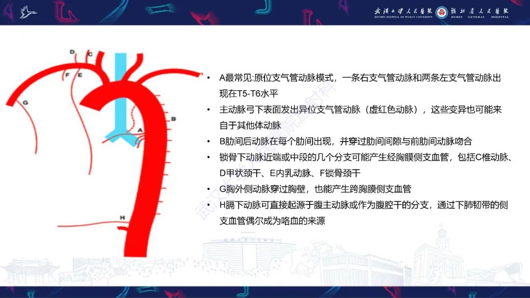 影像PPT - 【PPT】咯血CT评估-13