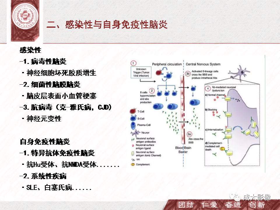 影像PPT - 【PPT】DWI示弥漫性脑皮质高信号病变的鉴别诊断-11