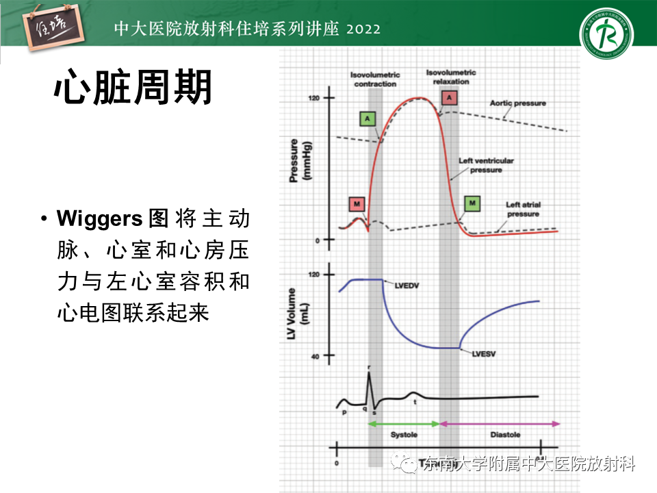 影像PPT - 【PPT】心脏磁共振评估左室舒张功能-2