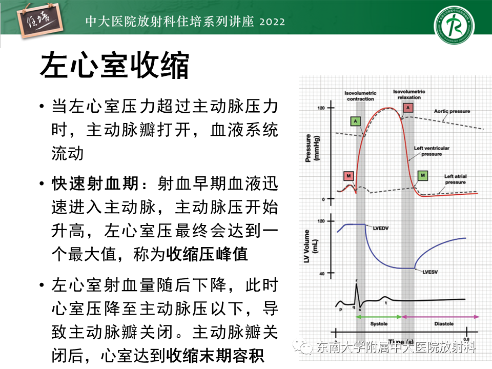 影像PPT - 【PPT】心脏磁共振评估左室舒张功能-4
