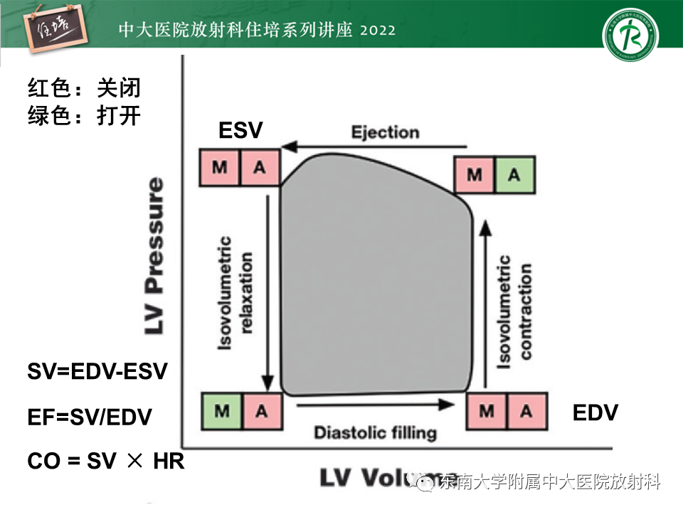 影像PPT - 【PPT】心脏磁共振评估左室舒张功能-7
