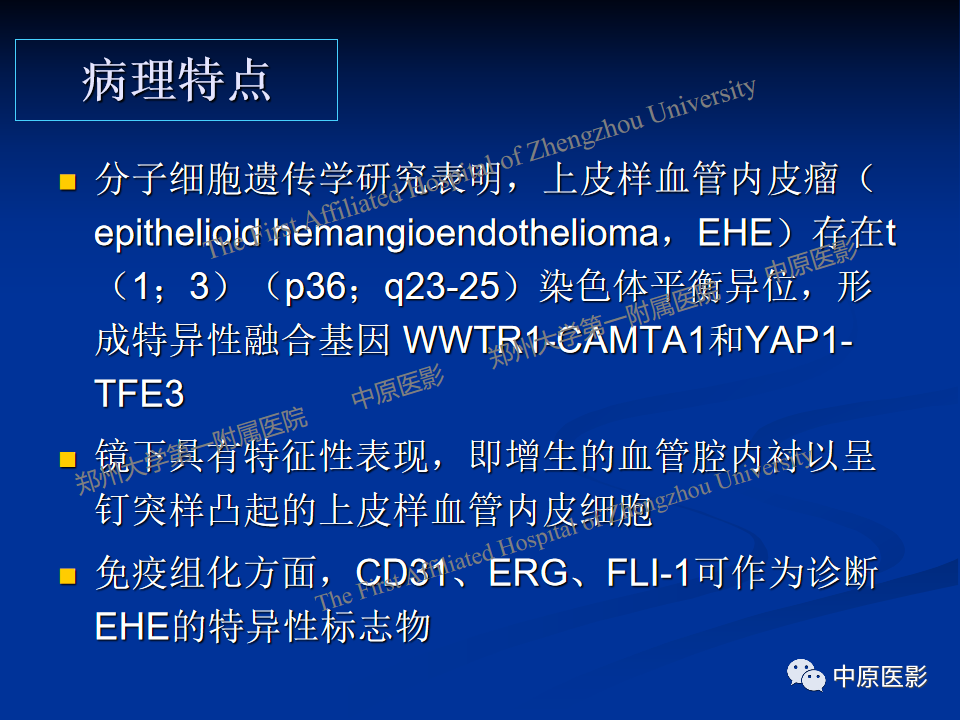 影像PPT - 【病例】肝脏上皮样血管内皮瘤1例MR影像-14