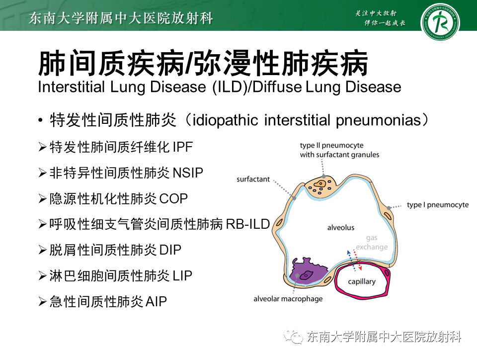 影像PPT - 【PPT】肺间质疾病相关影像鉴别-26
