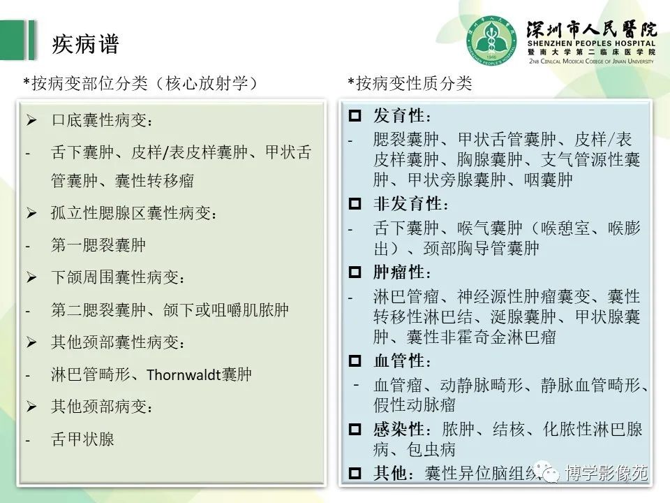 影像PPT - 【PPT】颈部囊性病变-2