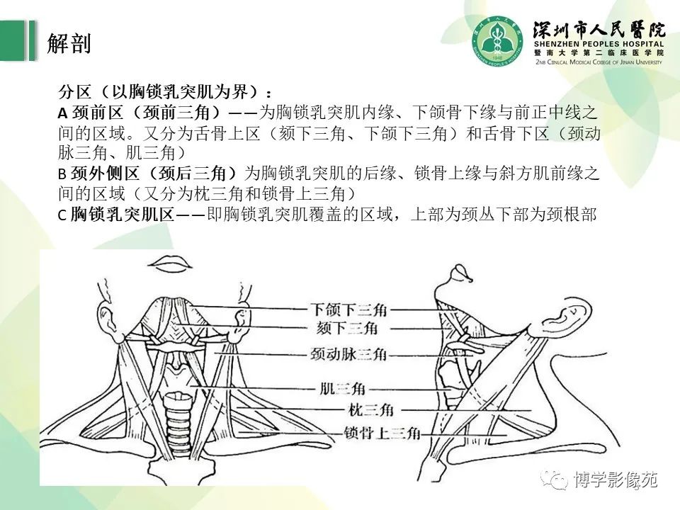 影像PPT - 【PPT】颈部囊性病变-3