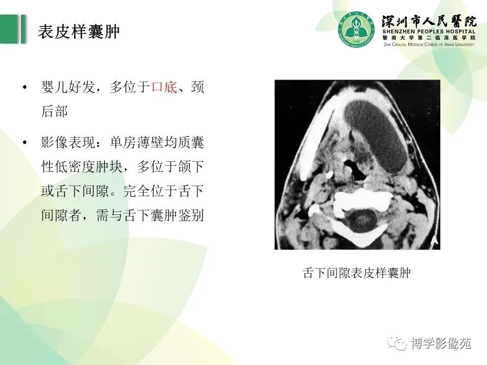 影像PPT - 【PPT】颈部囊性病变-9