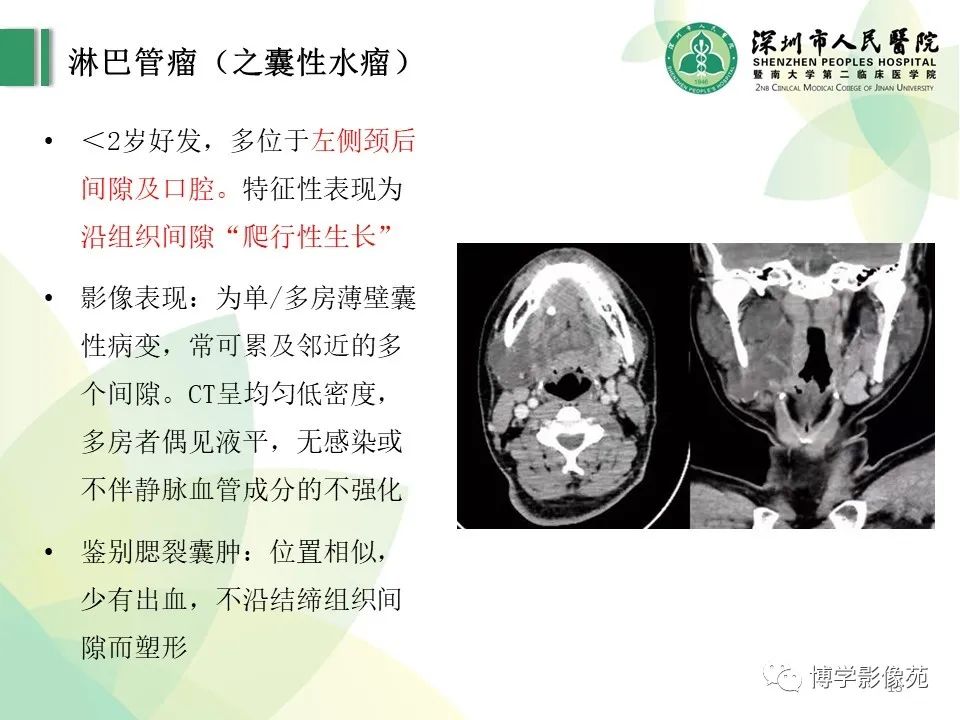 影像PPT - 【PPT】颈部囊性病变-13
