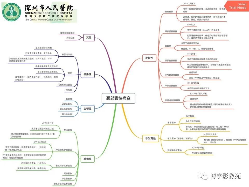 影像PPT - 【PPT】颈部囊性病变-20