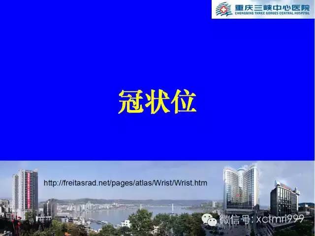 影像PPT - 【PPT】腕关节MRI解剖中英对照-2