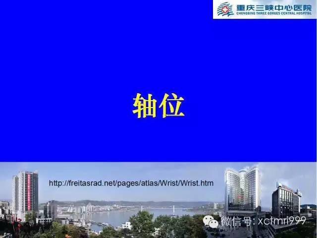 影像PPT - 【PPT】腕关节MRI解剖中英对照-30