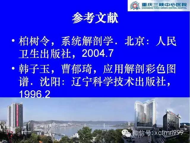 影像PPT - 【PPT】腕关节MRI解剖中英对照-51