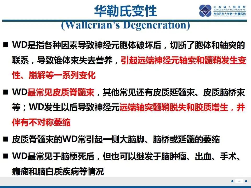 影像PPT - 【PPT】华勒氏变性-31
