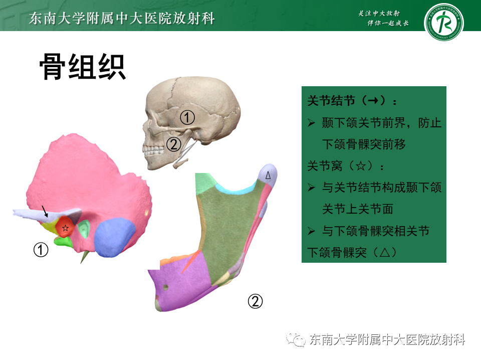 影像PPT - 【PPT】颞下颌关节紊乱病MR表现-9