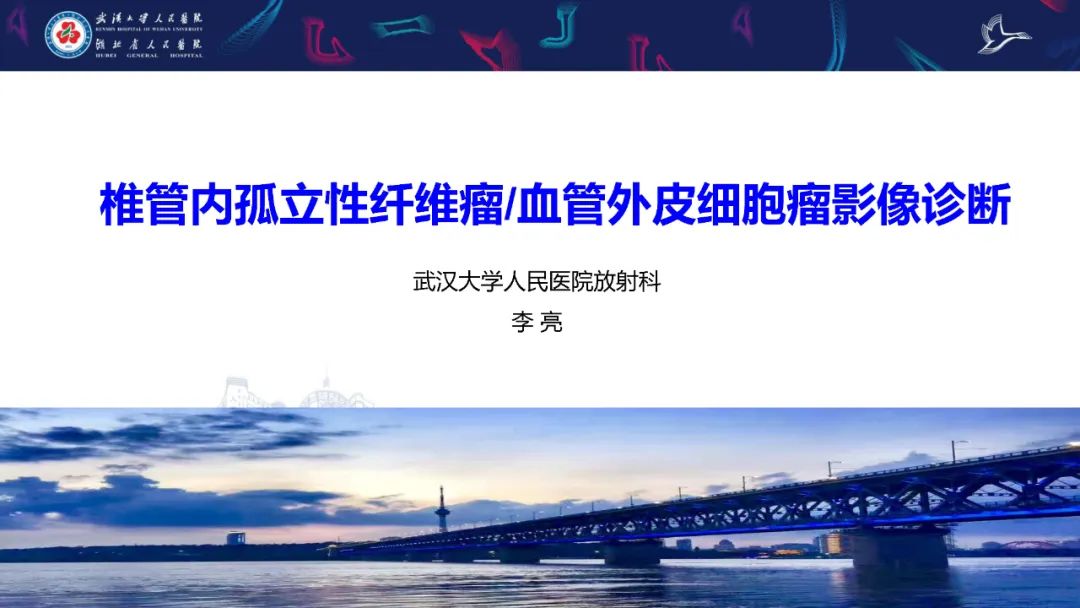 影像PPT - 【PPT】椎管内孤立性纤维瘤/血管外皮细胞瘤影像诊断-1