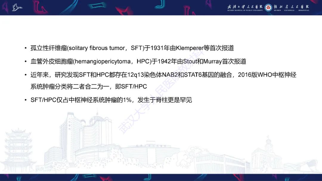 影像PPT - 【PPT】椎管内孤立性纤维瘤/血管外皮细胞瘤影像诊断-9