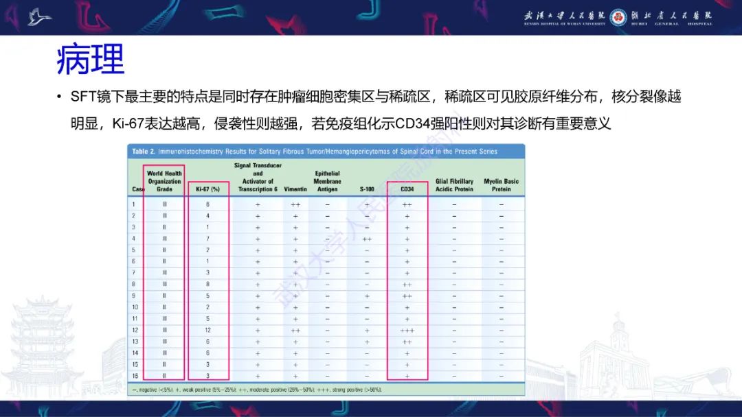 影像PPT - 【PPT】椎管内孤立性纤维瘤/血管外皮细胞瘤影像诊断-12