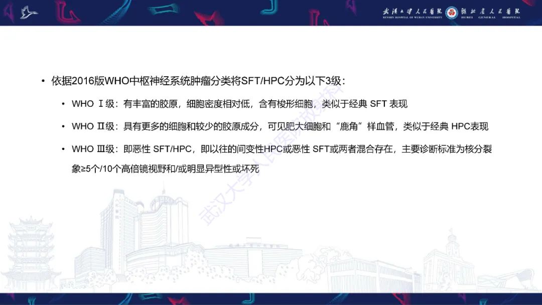 影像PPT - 【PPT】椎管内孤立性纤维瘤/血管外皮细胞瘤影像诊断-13