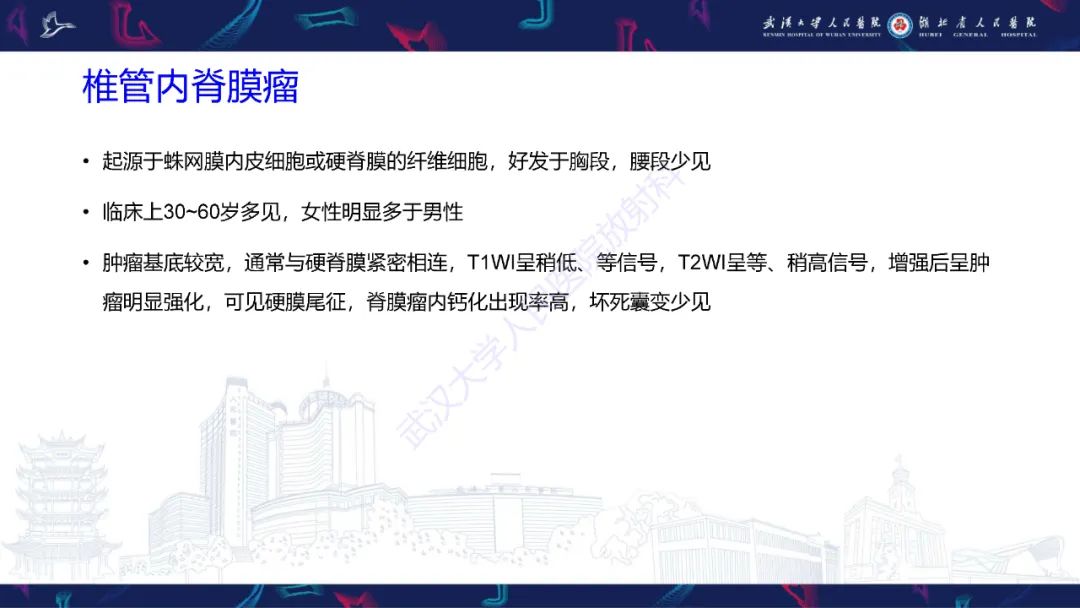 影像PPT - 【PPT】椎管内孤立性纤维瘤/血管外皮细胞瘤影像诊断-24