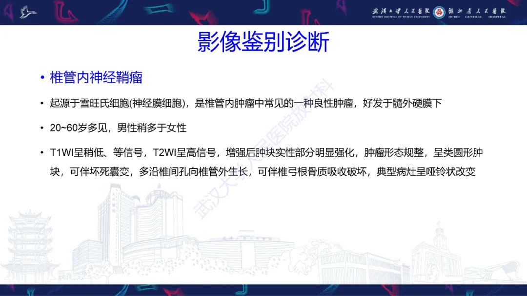 影像PPT - 【PPT】椎管内孤立性纤维瘤/血管外皮细胞瘤影像诊断-22