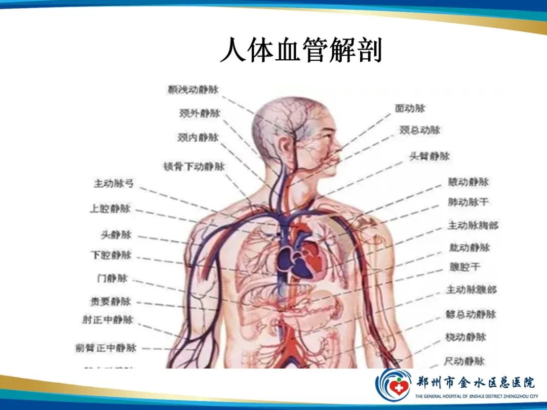 影像PPT - 【PPT】增强扎针时“左膀右臂”一样么？-3