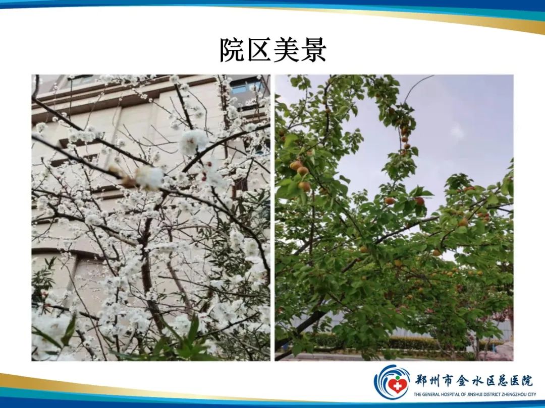 影像PPT - 【PPT】增强扎针时“左膀右臂”一样么？-20