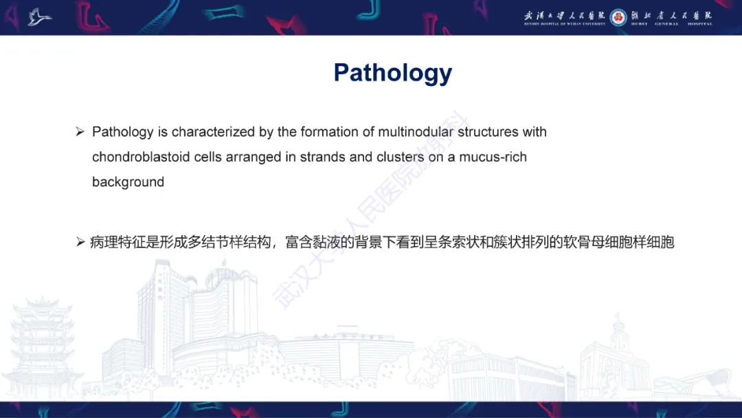 影像PPT - 【PPT】骨外粘液样软骨肉瘤影像诊断-9