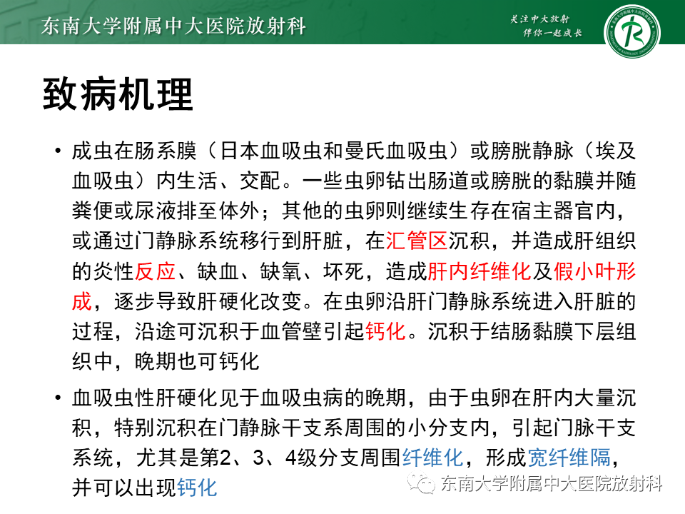 影像PPT - 【PPT】血吸虫肝病-9