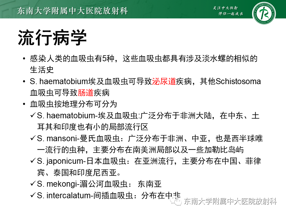 影像PPT - 【PPT】血吸虫肝病-8
