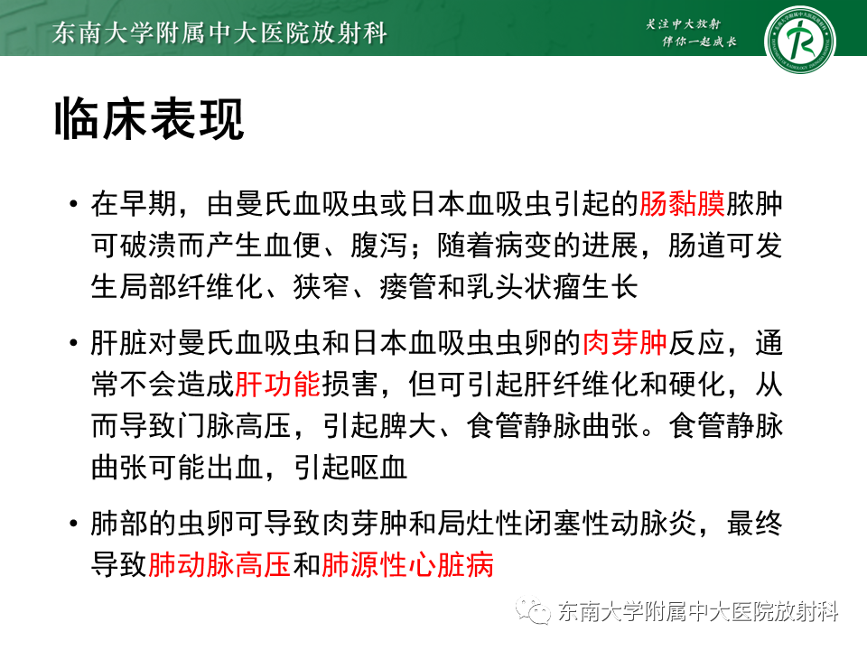 影像PPT - 【PPT】血吸虫肝病-11