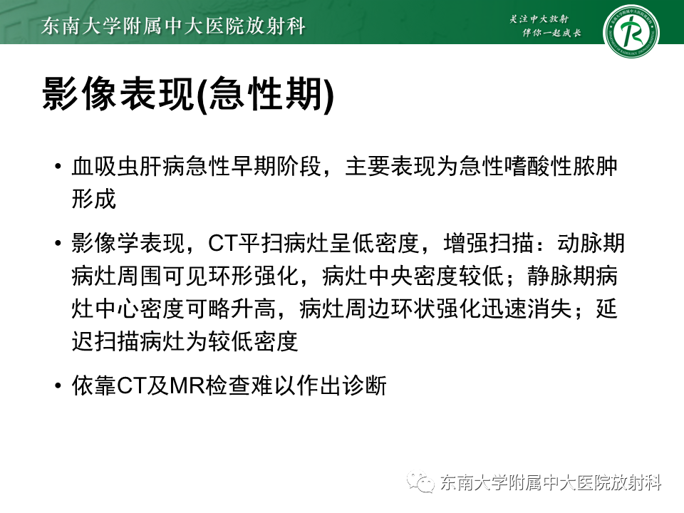 影像PPT - 【PPT】血吸虫肝病-13