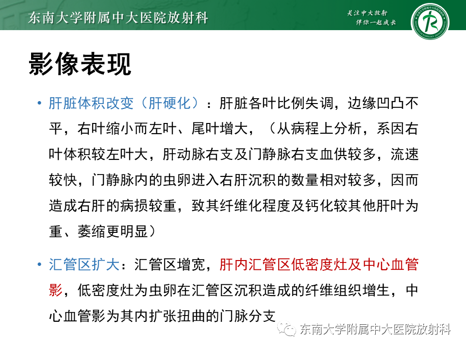 影像PPT - 【PPT】血吸虫肝病-15