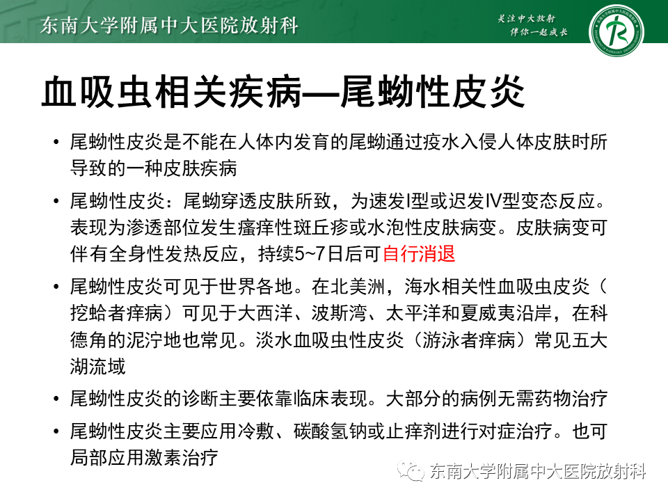 影像PPT - 【PPT】血吸虫肝病-20