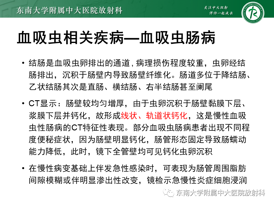 影像PPT - 【PPT】血吸虫肝病-21
