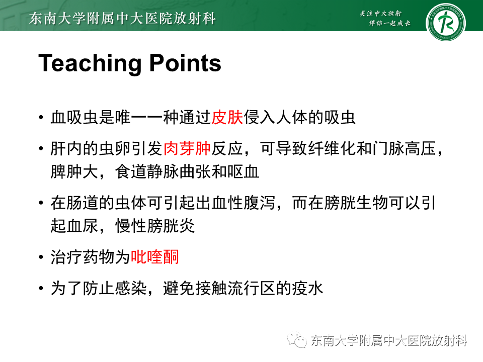 影像PPT - 【PPT】血吸虫肝病-39