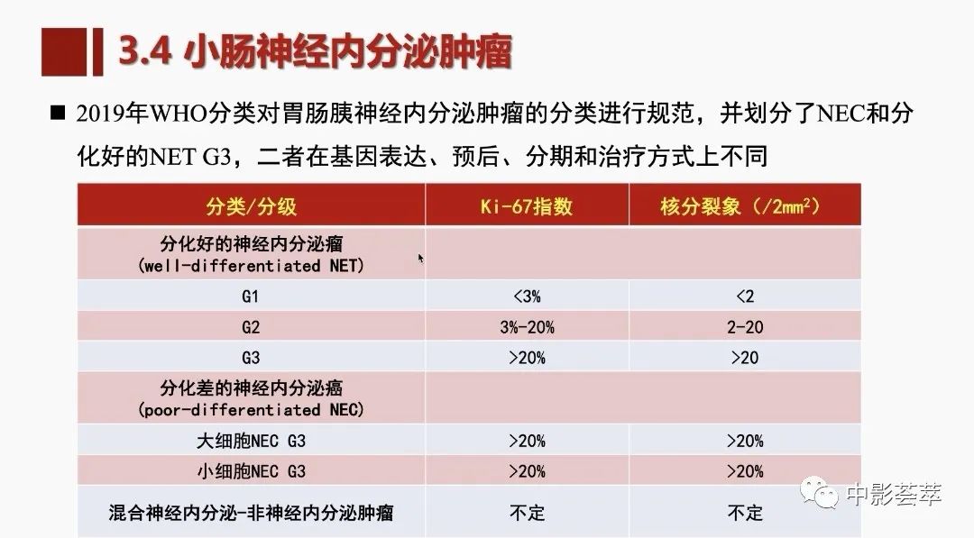 影像PPT - 【PPT】胃肠淋巴瘤及小肠肿瘤性的病变综述-64