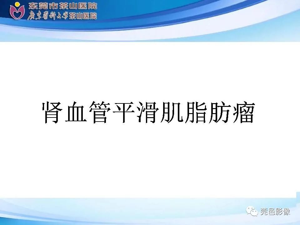 影像PPT - 【PPT】乏脂肪肾血管平滑肌脂肪瘤影像诊断-13