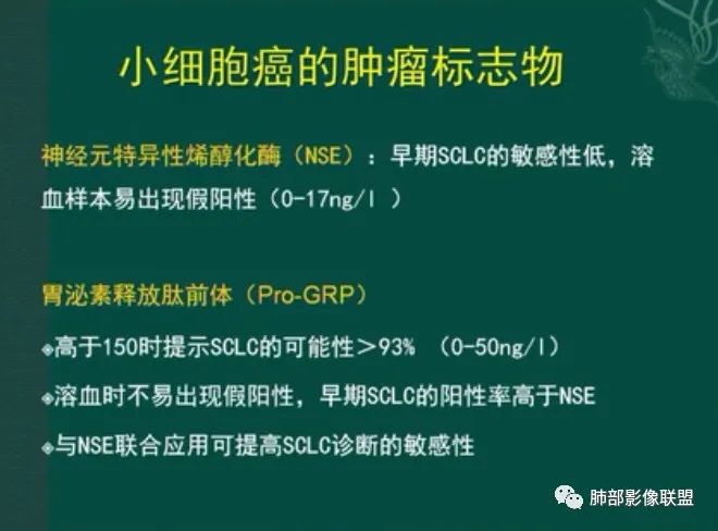 影像PPT - 【病例】小细胞肺癌一图定乾坤—经典蠕虫样改变-34 影像PPT - 【病例】小细胞肺癌一图定乾坤—经典蠕虫样改变-34