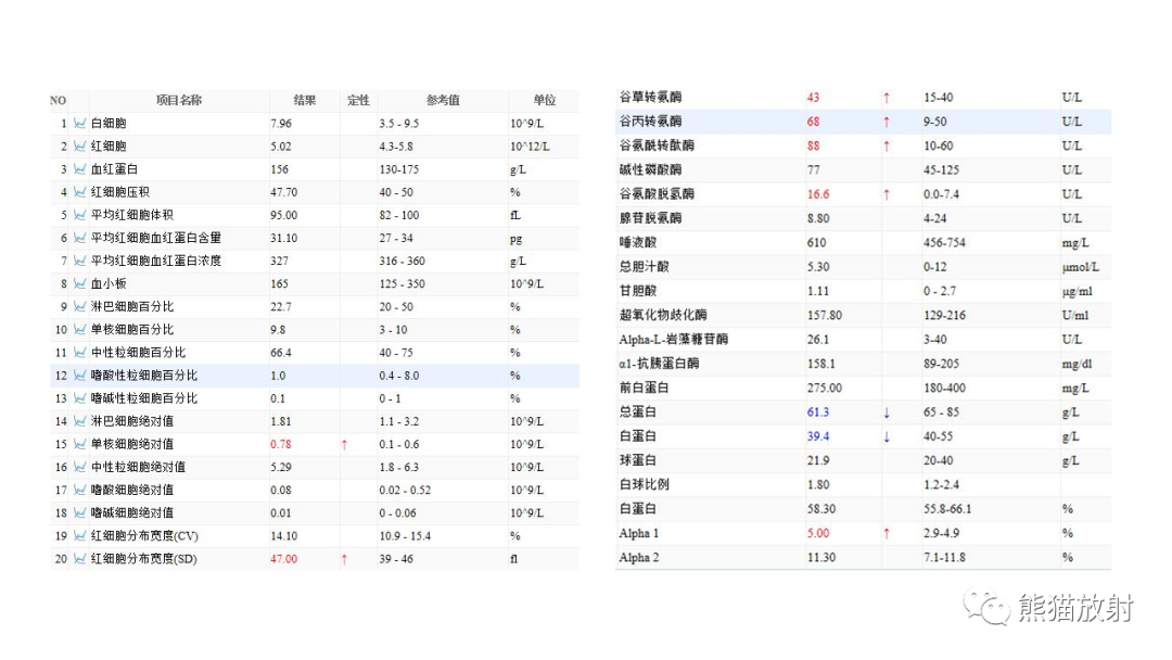 影像PPT - 【病例】支气管错构瘤 VS 支气管异物-3