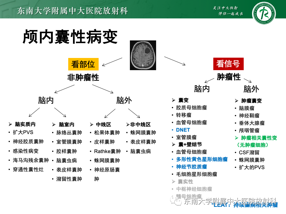 影像PPT - 【PPT】颅内常见囊性病变诊断-25
