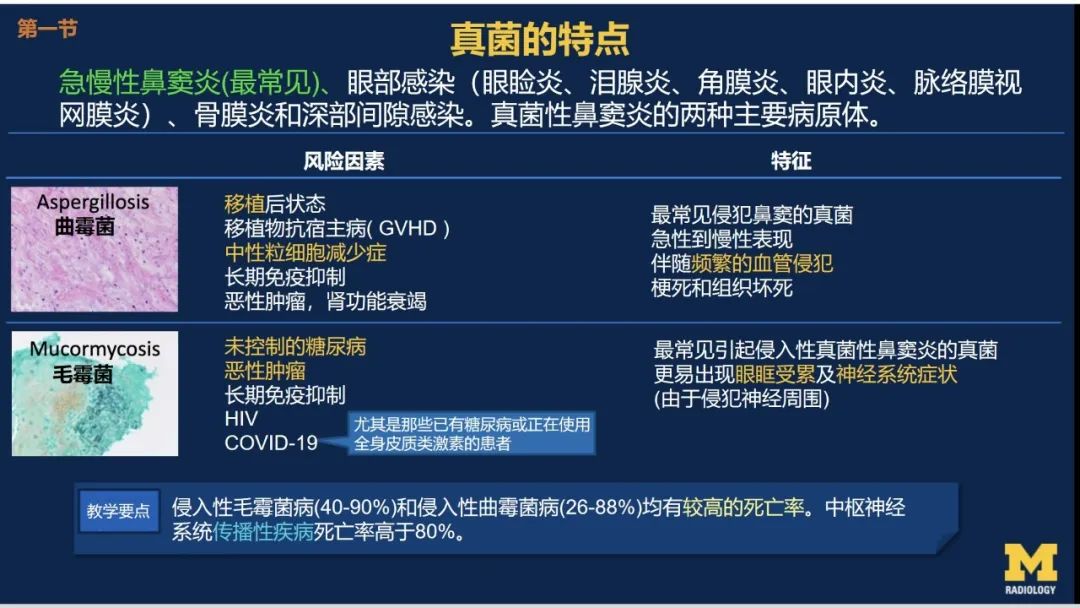影像PPT - 【PPT】致命的真菌：头颈部侵入性真菌感染-8