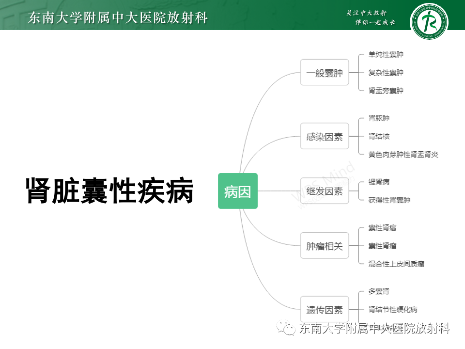 影像PPT - 【PPT】囊性肾癌-8