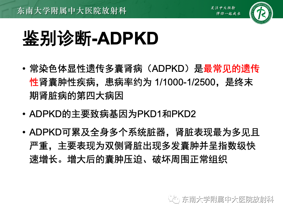 影像PPT - 【PPT】囊性肾癌-40