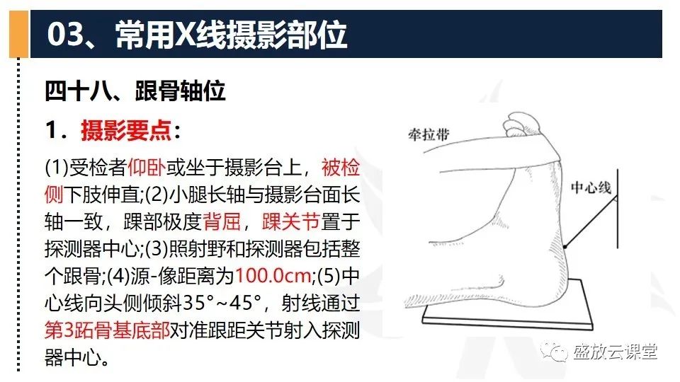 影像PPT - 【PPT】数字X线摄影检查（四）-3