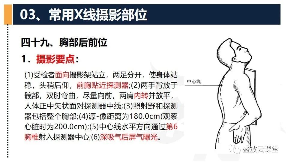 影像PPT - 【PPT】数字X线摄影检查（四）-5